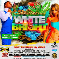 DJ PRO AND NALDO WHITE AND BRIGHT