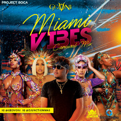 Project Soca | 2025 Miami Vibes Carnival Mix with DJunction Mas