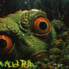 Riddim y otras vainas