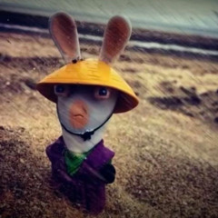 BALLS BALLS BALLS BALLS