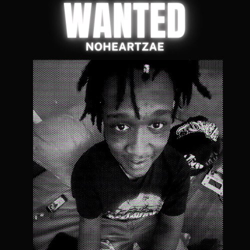 NoHeartZae-Go