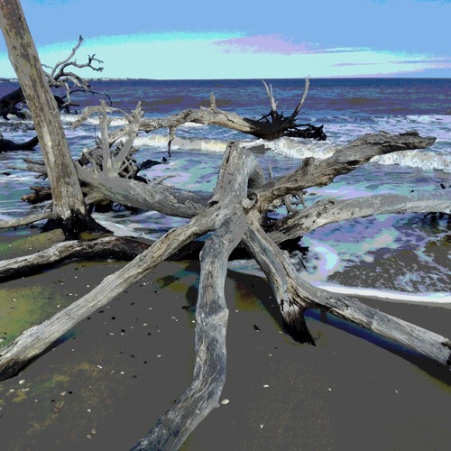 Shot in the dark.m4a