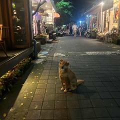 estais todos perdonados prod DJPepe2184