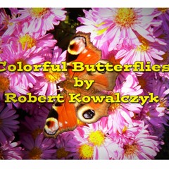 Robert Kowalczyk - Colorful Butterflies