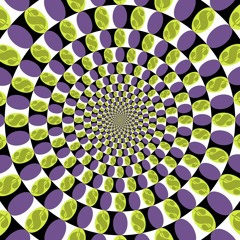 DNB Seshons 5