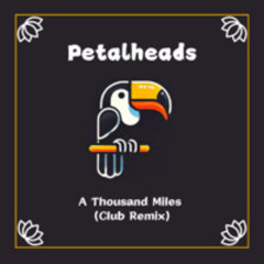 Vanessa Carlton Thousand Miles (Petalheads Club Remix)