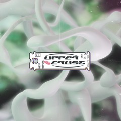 008 - C.O.E