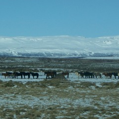 Deep Inside, Around & Everywhere, Vol. 06 (spirit & nordic)