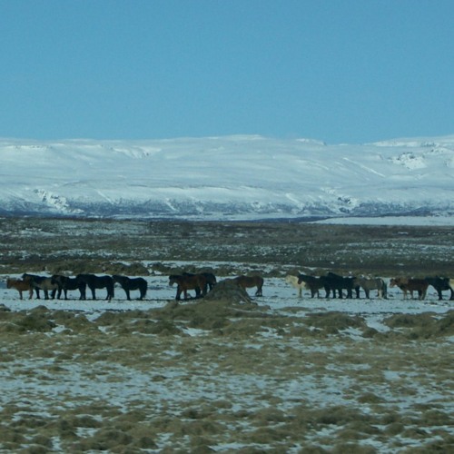 Deep Inside, Around & Everywhere, Vol. 06 (spirit & nordic)