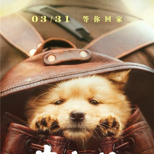 Stream 忠犬八公 完整版 - 在线观看(2023)√HD~1080p | 中國電影完整版 by Joni Depe | Listen ...