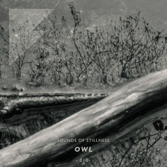 Sounds of Stillness 010 - Owl