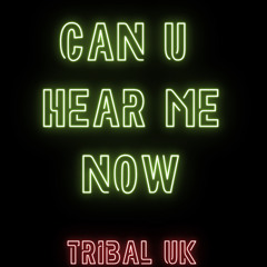 Can U Hear Me Now [FREE DL]