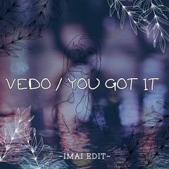 VEDO - YOU GOT IT(Explicit)(IMAI EDIT)