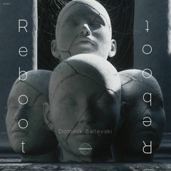 Dominik Saltevski - Reboot (Original Mix)