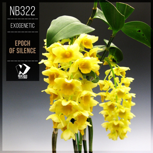 Exogenetic - Serenity (Original Mix)