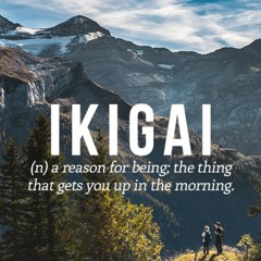 I K I G A I
