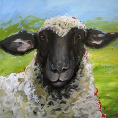 BlackSheepS - Roll - It - UP! 155 D MT