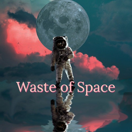 Waste of Space