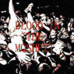 BLOOD IN THE MOSHPIT SNIPPIT