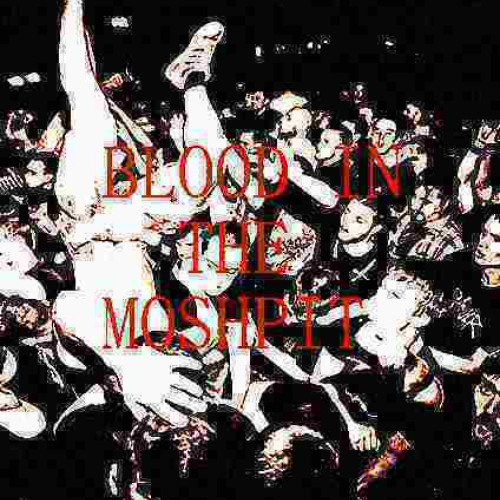 BLOOD IN THE MOSHPIT SNIPPIT