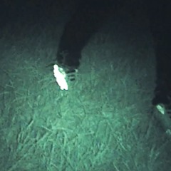 katy perry(prod.@okaypeyton)