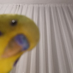 6okturk - Alev Alev Demo iğrenc kayıt