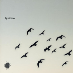 Ignition (Radio Version)