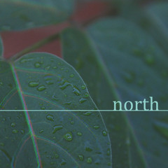 does growing hurt for plants too?