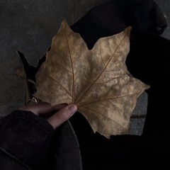 Mixset Deep House vol.3 | LongChunn & June Remix