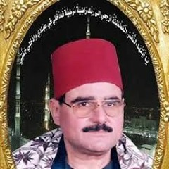 الشيخ السيد متولى - سورة النجم - القمر - الرحمن