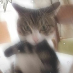 scuol4 ma non è scuol4 con @frostyhh (me) (Siamo)