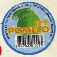 Pomelo@Splace