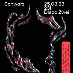 SCHWARZ x Disco Zwei // Mannheim [25.03.23]