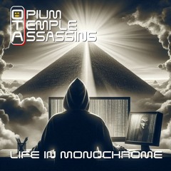 Life In Monochrome