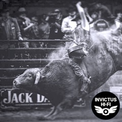 Confidence, The Bull