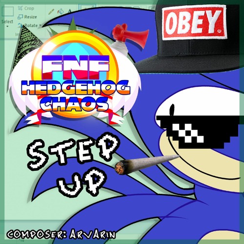 Hedgehog Chaos - Step Up