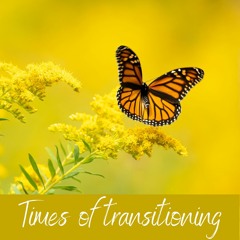 I am held with grace as I move into more Truth, transparency and self-love