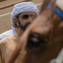 شكرا على شعرك