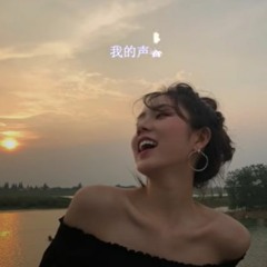 音乐 戴上耳机《你的样子》——林志炫【DJ版本】配『動態歌詞