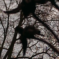 Alex Max Lockdown Mix 19¡04¡2020.MP3