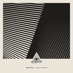 Caner Seval - Galactic Woods (Original Mix)