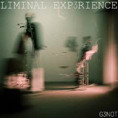 LIMINAL EXPERIENCE