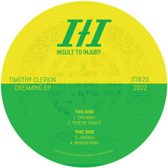 PREMIERE | Timothy Clerkin - Tour De Trance [Insult To Injury] 2022