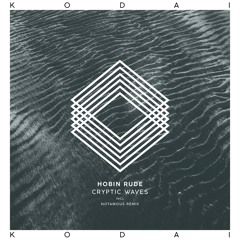 Hobin Rude - Cryptic Waves (Original Mix) [Kodai]