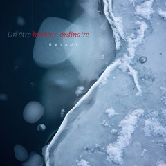 Ümlaut - Artifacts as Media