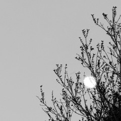 Decalius - Raw DSBM (2021)