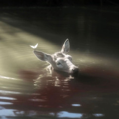 drowning