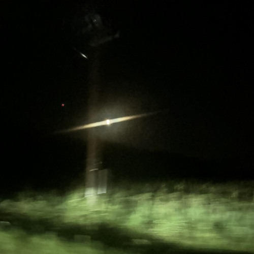 Deep Into The Night