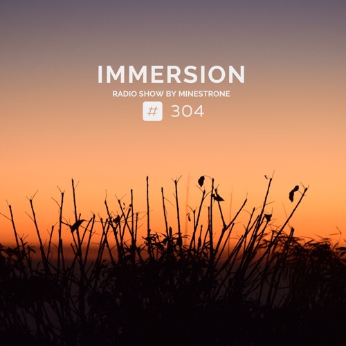 Immersion #304 (03/04/23)