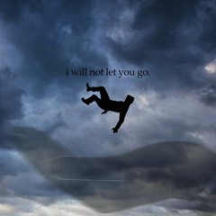 I WILL NOT LET YOU GO
